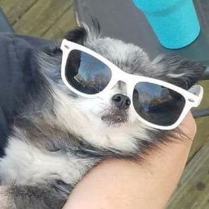 Meet your Posher, Tim